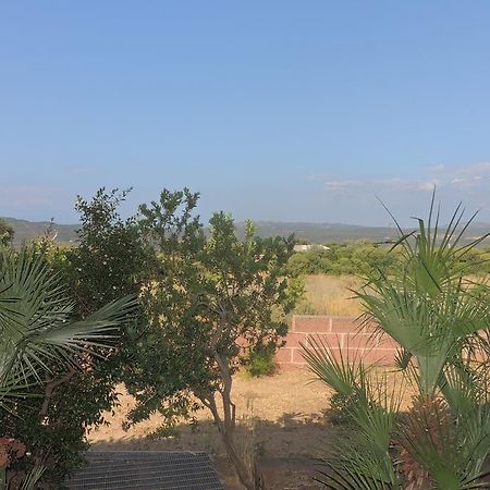 Ferienwohnung Le Colline Di Isola Rossa Trinità dʼAgultu Exterior foto